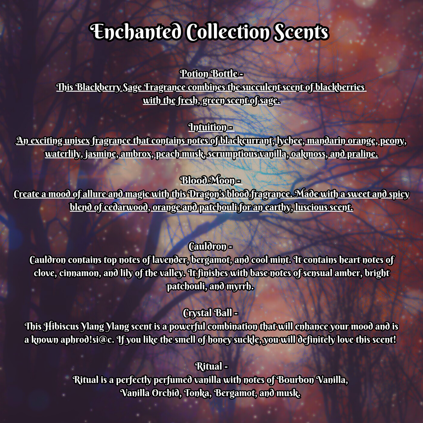 Enchanted Scented Dry Body Oil